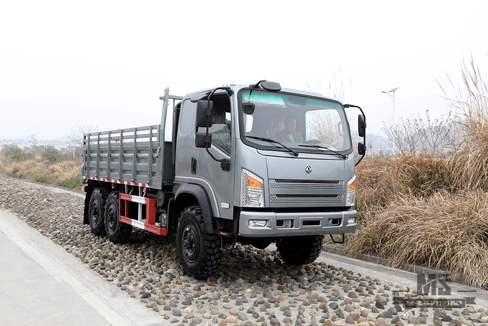 Dongfeng ငွေရောင် ခြောက်ဘီးယက် AWD ထရပ်ကား ပုံစံဖွဲ့စည်းမှု_6×6 190HP ဦးခေါင်းပြားလမ်းပိတ် အပေါ့စား ထရပ်ကား ထုတ်လုပ်သူ_6*6 အထူးယာဉ် တင်ပို့ခြင်း