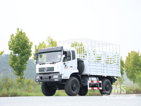 Dongfeng 4×4 မြင့်မားသောခြံစည်းရိုး လမ်းကြမ်းကုန်တင်ကား | EQ3186GP6